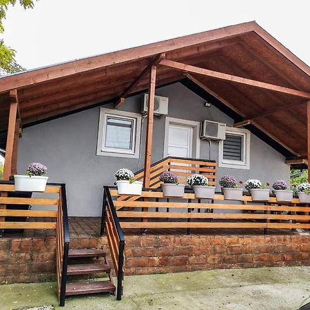 S. A. L. Prenociste Appartement Zrenjanin Buitenkant foto